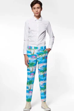 OppoSuits Flaminguy| Carnavals Pakken