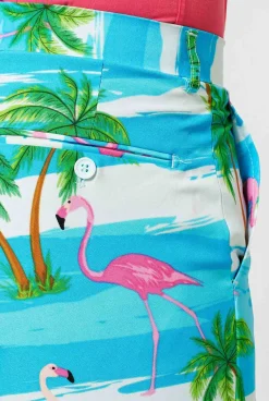 OppoSuits Flaminguy|Heren Vrijgezellenfeest Pakken|Carnavalspakken